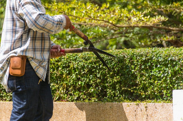 Garden Maintenance Totteridge, Whetstone, N20