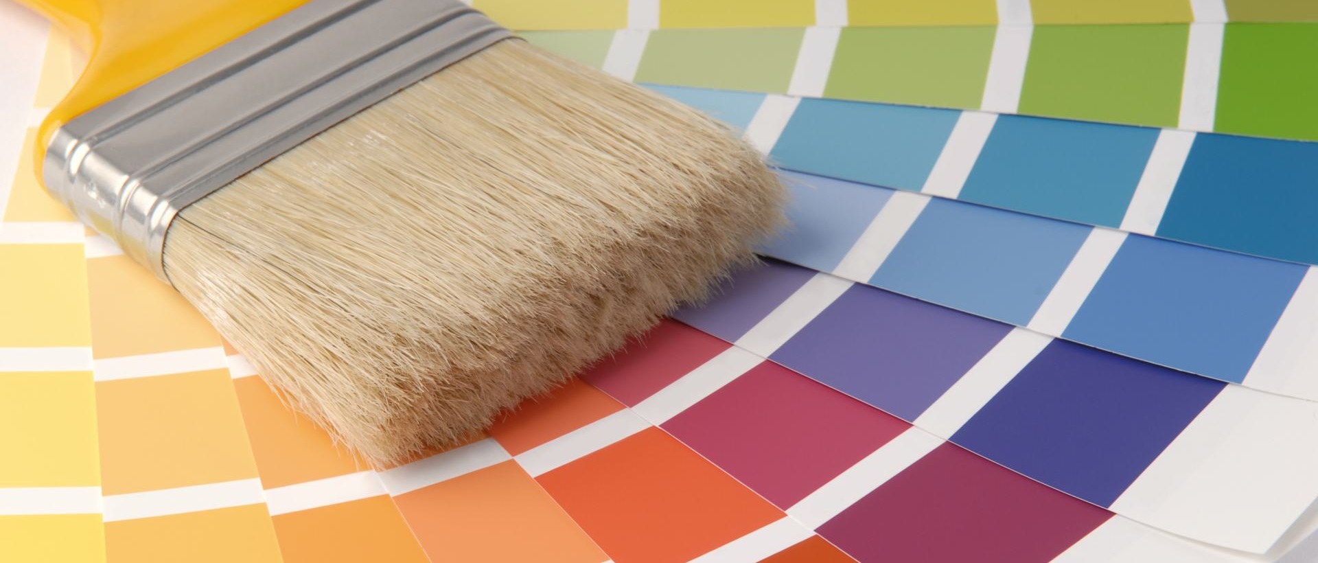 Painter N20